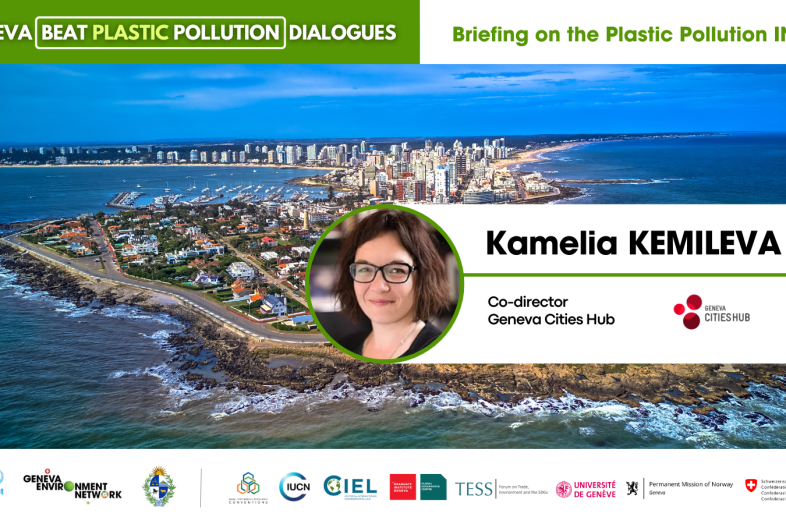 2Nov22_PlasticINC1_briefing_GenevaCitiesHub