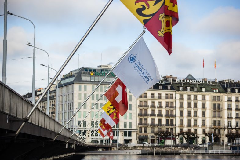 51728611401_677e9fcc40_k 51728611401_677e9fcc40_k