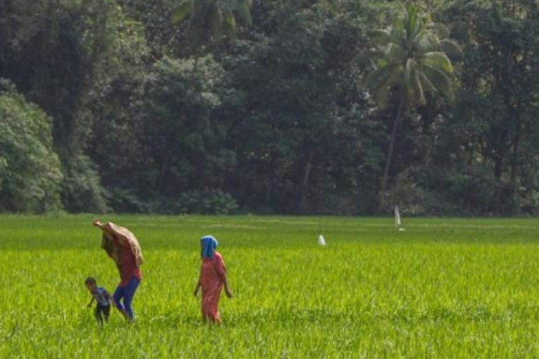 Banner_Draft Banner_Draft