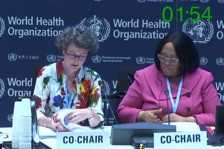 Copresidentes del INB 10