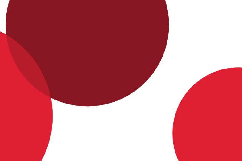 BANNER DE LA RED MUNDIAL DE CIUDADES Y COMUNIDADES ADAPTADAS A LAS PERSONAS MAYORES
