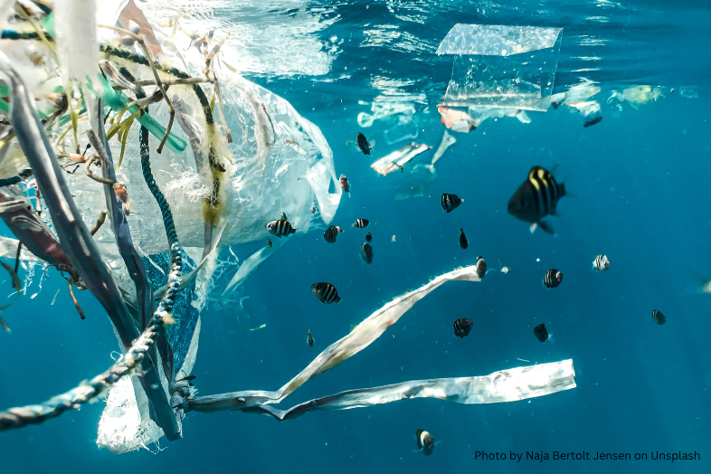 plastic_pollution